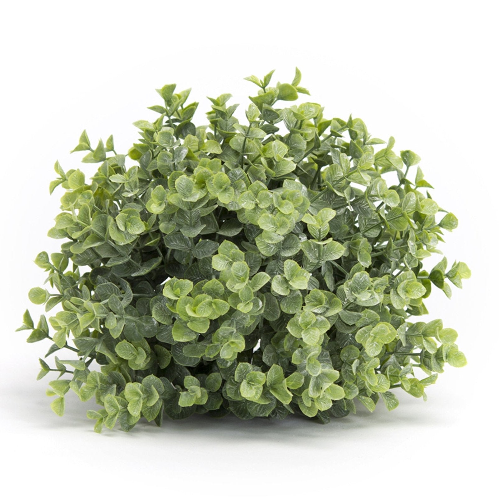 Spring-Boxwood-Foliage-Half-Orbs,-Set-of-6-Faux-Florals