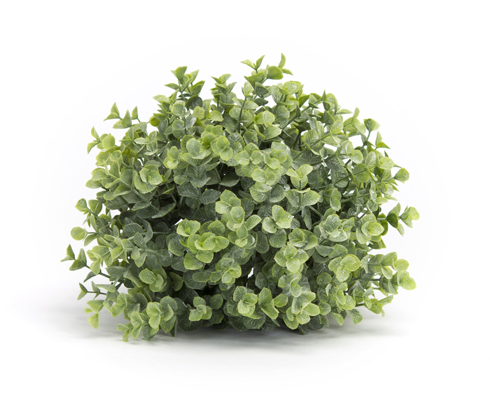 Spring-Boxwood-Foliage-Half-Orbs,-Set-of-6-Faux-Florals