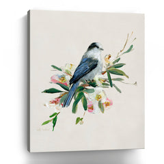 Spring Song Gray Jay Canvas Giclee - Wall Art