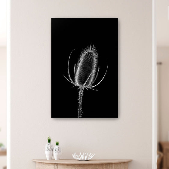 Thistle I Canvas Giclee - Wall Art