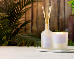Pier-1-Tranquility-Lavender-&-Amber-Aromatherapy-Reed-Diffuser-Fragrance