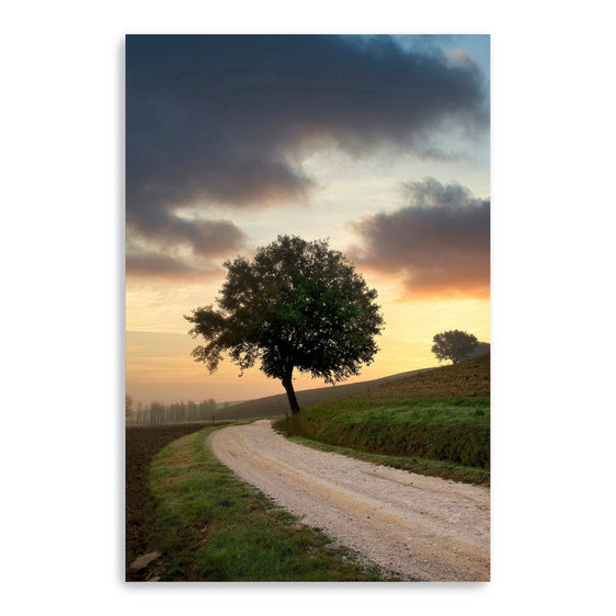 Tuscan-Farm-Road-Sunrise-#2-Canvas-Giclee-Wall-Art-Wall-Art