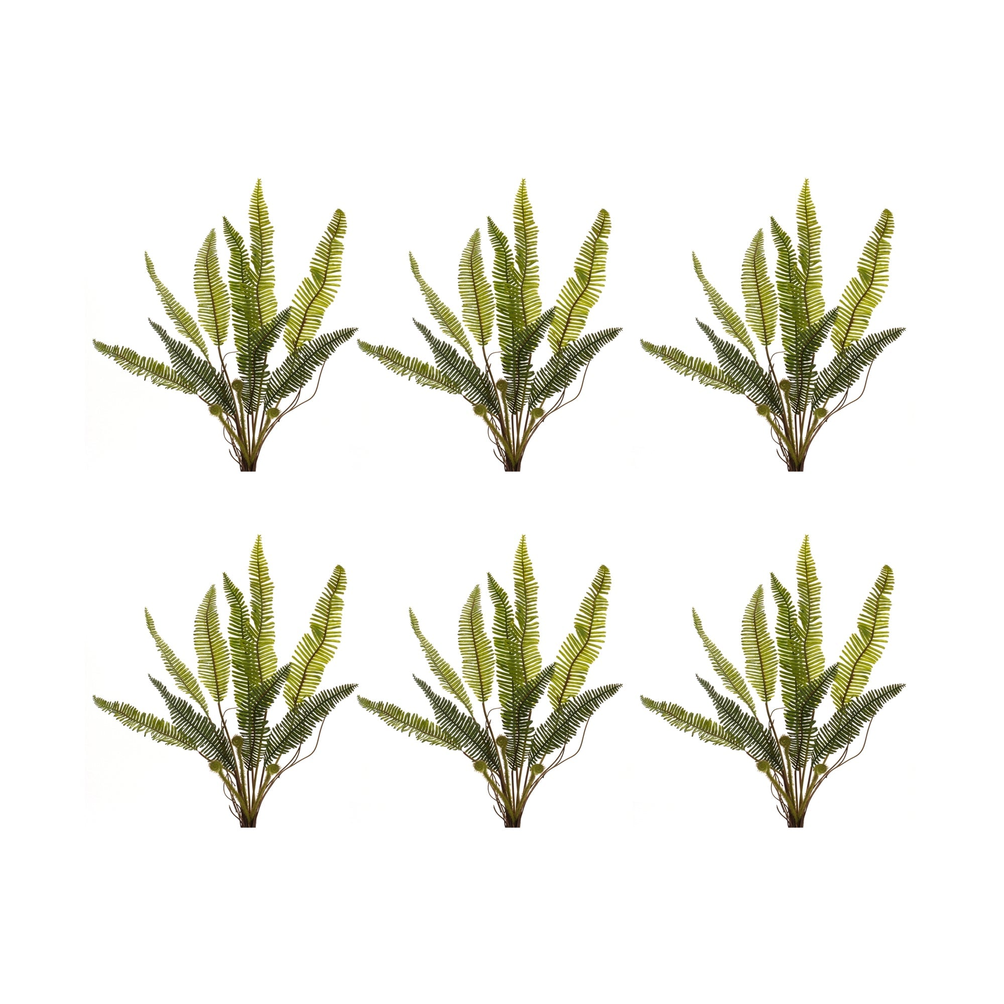Variegated Fern Foliage Bush, Set of 6 - Faux Florals