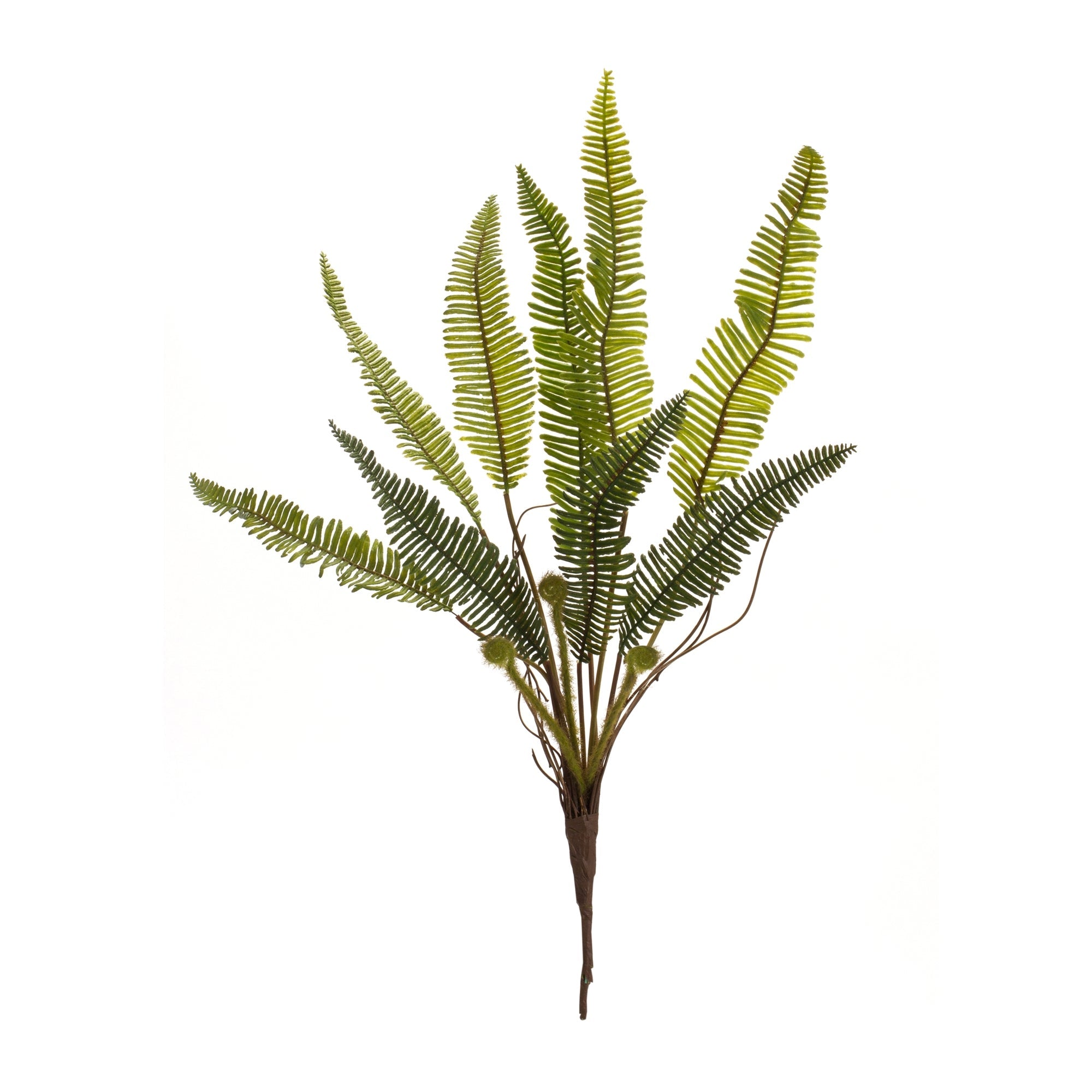 Variegated-Fern-Foliage-Bush,-Set-of-6-Faux-Florals