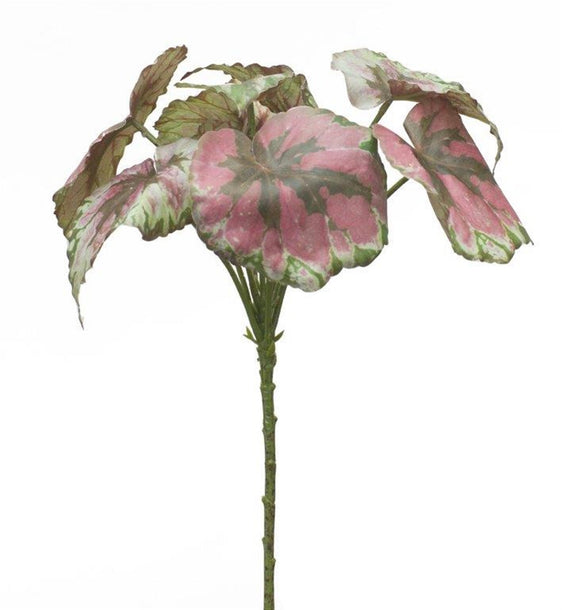 Varigated Begonia Leaf Bush (Set of 2) - Faux Florals