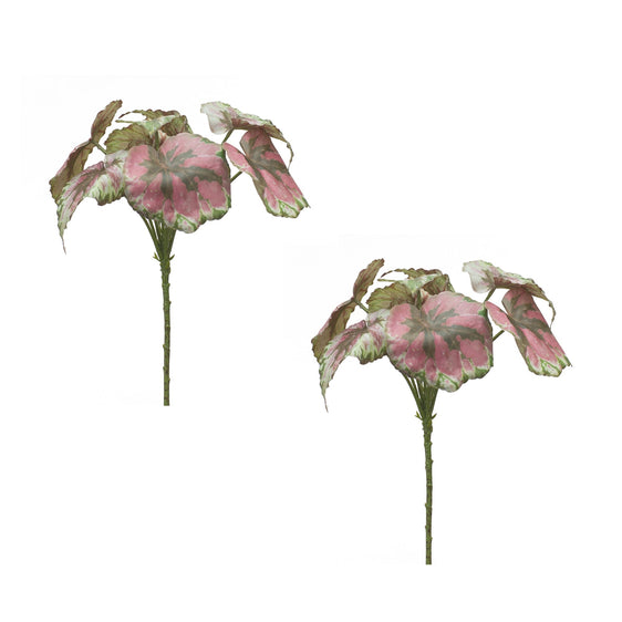 Variegated-Begonia-Leaf-Bush,-Set-of-2-Faux-Florals