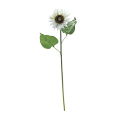 White Sunflower Floral Stem, Set of 6 - Faux Florals
