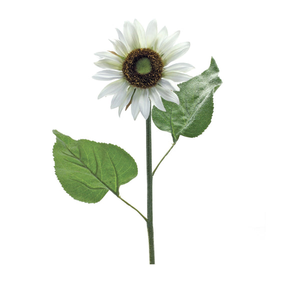 White-Sunflower-Floral-Stems,-Set-of-6-Faux-Florals