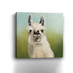 Who's Your Llama I Crop Canvas Giclee - Wall Art