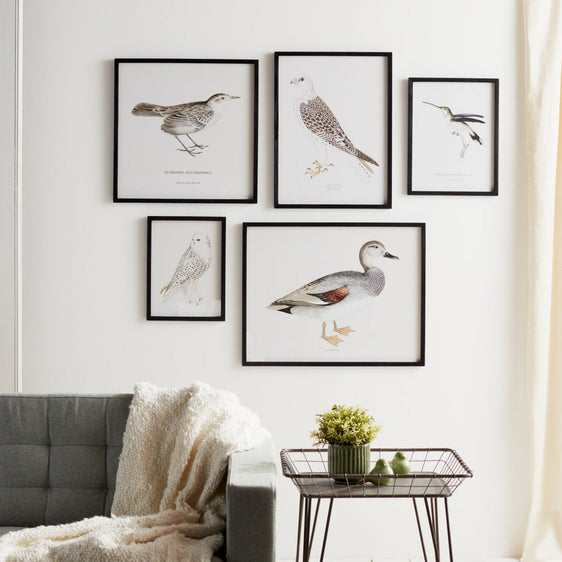 Wood-Framed-Encyclopedia-Bird-Print,-Set-of-5-Wall-Art