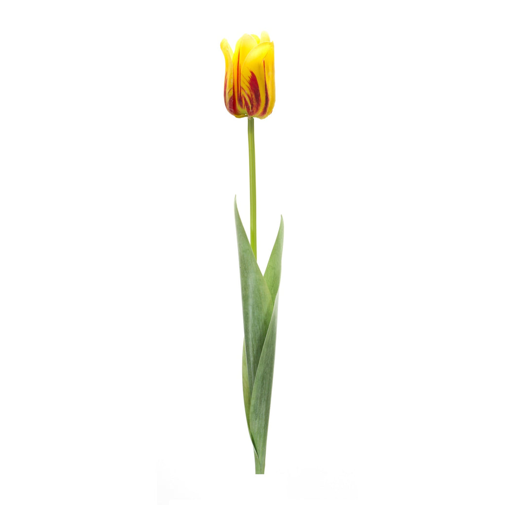 Yellow and Red Tulip Stem, Set of 6 - Faux Florals