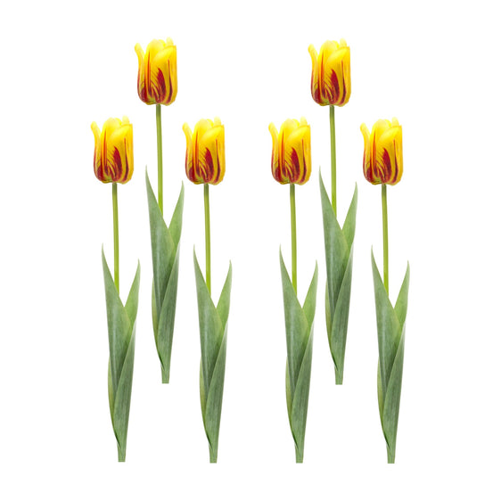 Yellow-and-Red-Tulip-Stems,-Set-of-6-Faux-Florals