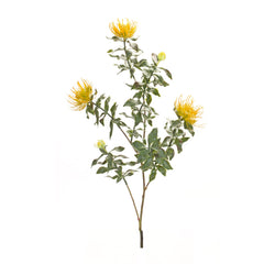 Yellow Flocked Protea Spray (Set of 6) - Faux Florals
