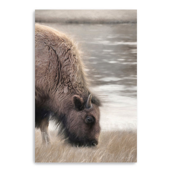 Yellowstone-Buffalo-Canvas-Giclee-Wall-Art-Wall-Art